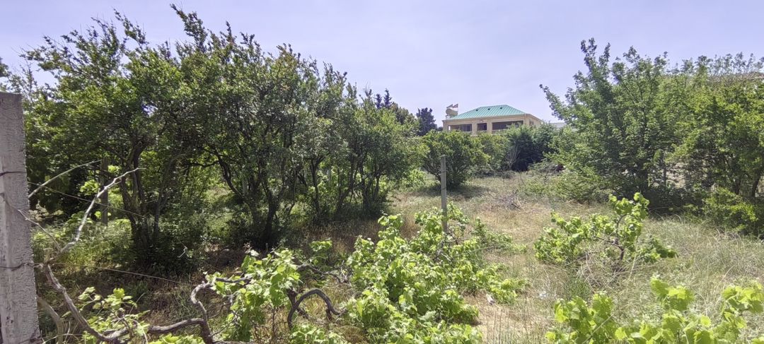 Satılır torpaq 24 sot — Torpaq, Bakı (6)