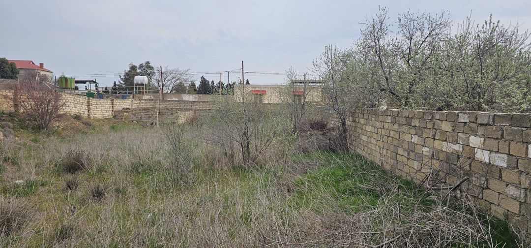 Satılır torpaq 10 sot — Torpaq, Bakı (6)