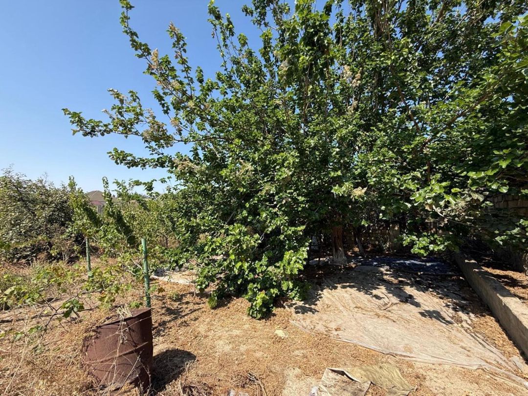 Satılır 6 otaqlı həyət evi/bağ evi 250 m² — Ev, villa, Bakı (5)