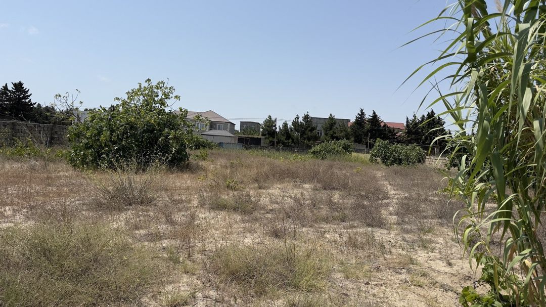 Satılır torpaq 19 sot — Torpaq, Bakı (3)