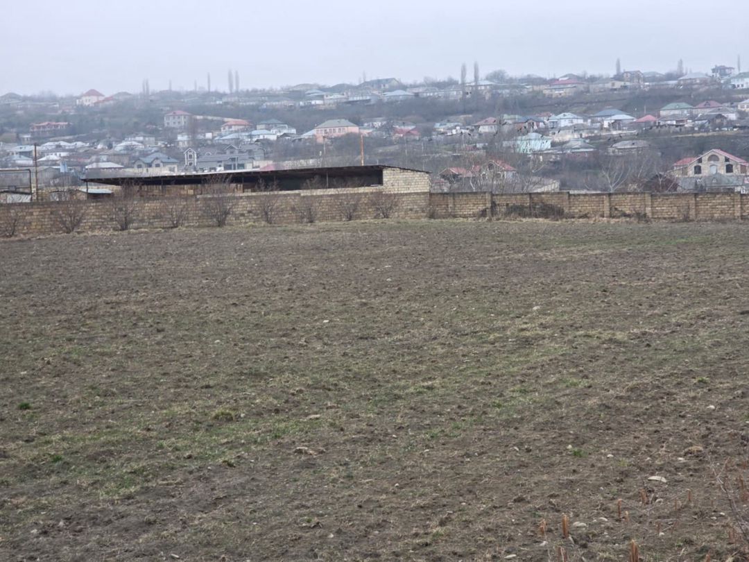 Satılır torpaq 1500 sot — Torpaq, Quba (6)