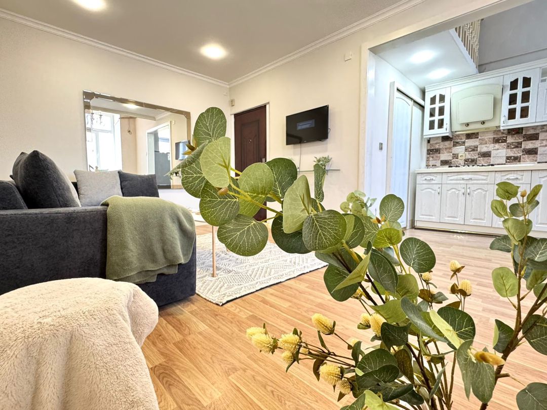 İcarəyə verilir 2 otaqlı köhnə tikili 50 m² — Mənzil, Bakı (5)