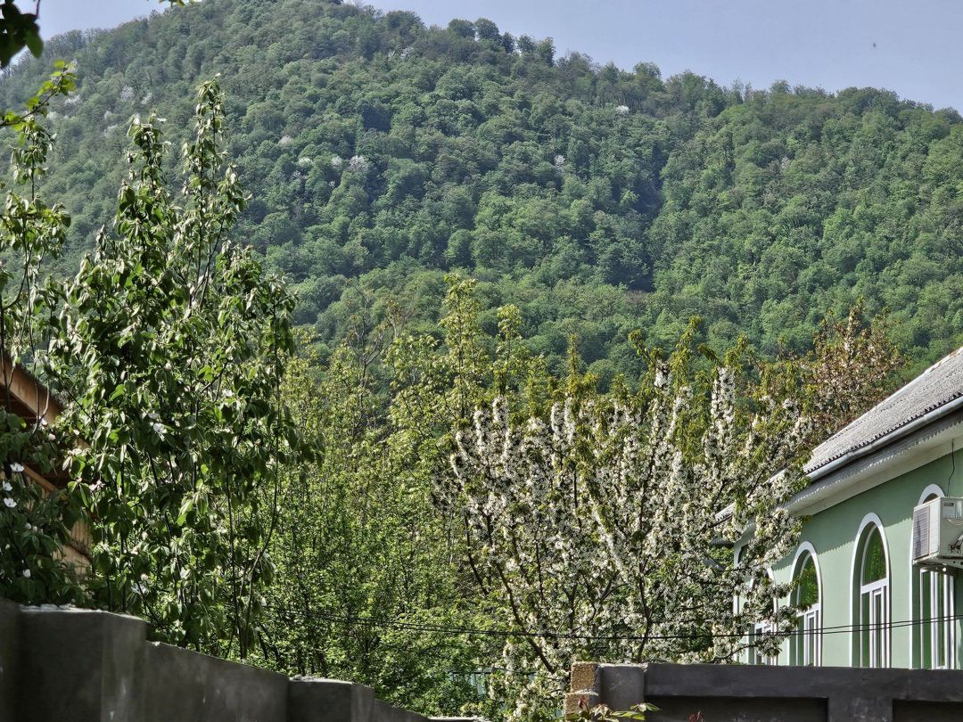 İcarəyə verilir 2 otaqlı həyət evi/bağ evi 55 m² — Ev, villa, Qəbələ (3)