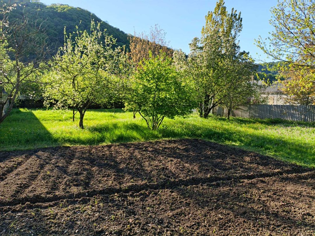 Satılır torpaq 30.5 sot — Torpaq, Qəbələ (5)