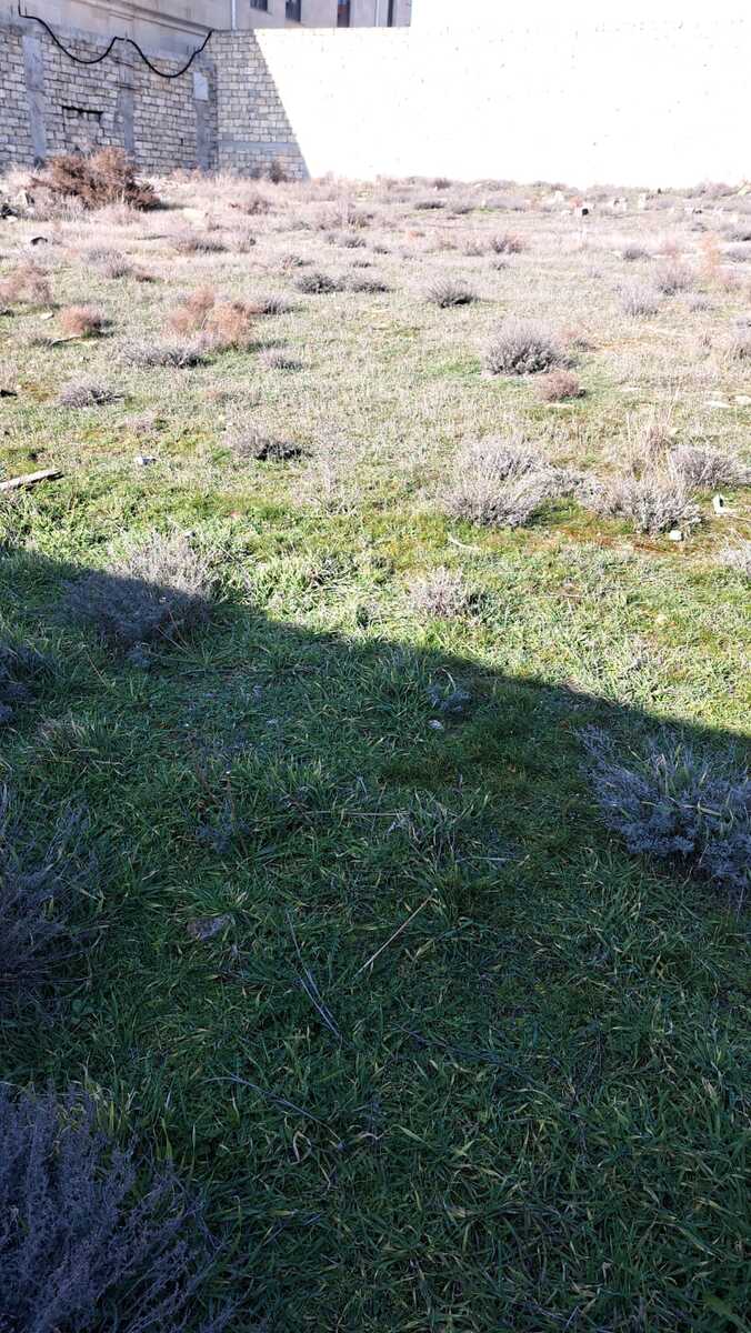 Satılır torpaq 15 sot — Torpaq, Bakı (4)