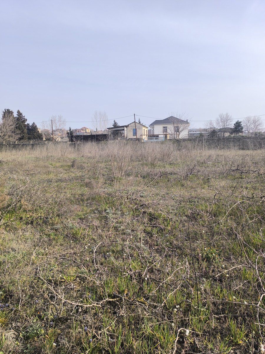 Satılır torpaq 41 sot — Torpaq, Bakı (10)
