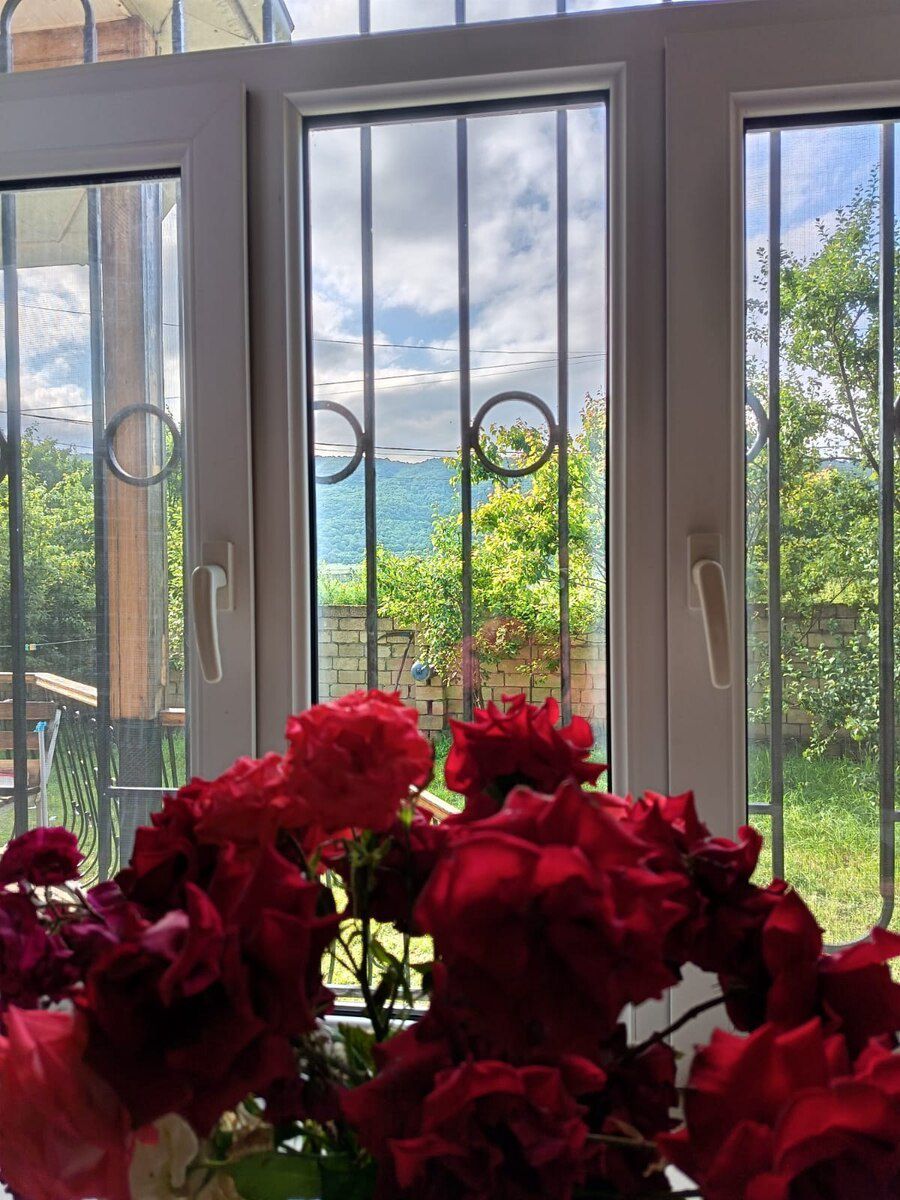 Bağ evi kirayə verilir, Qusar r — Ev, villa, Qusar (11)