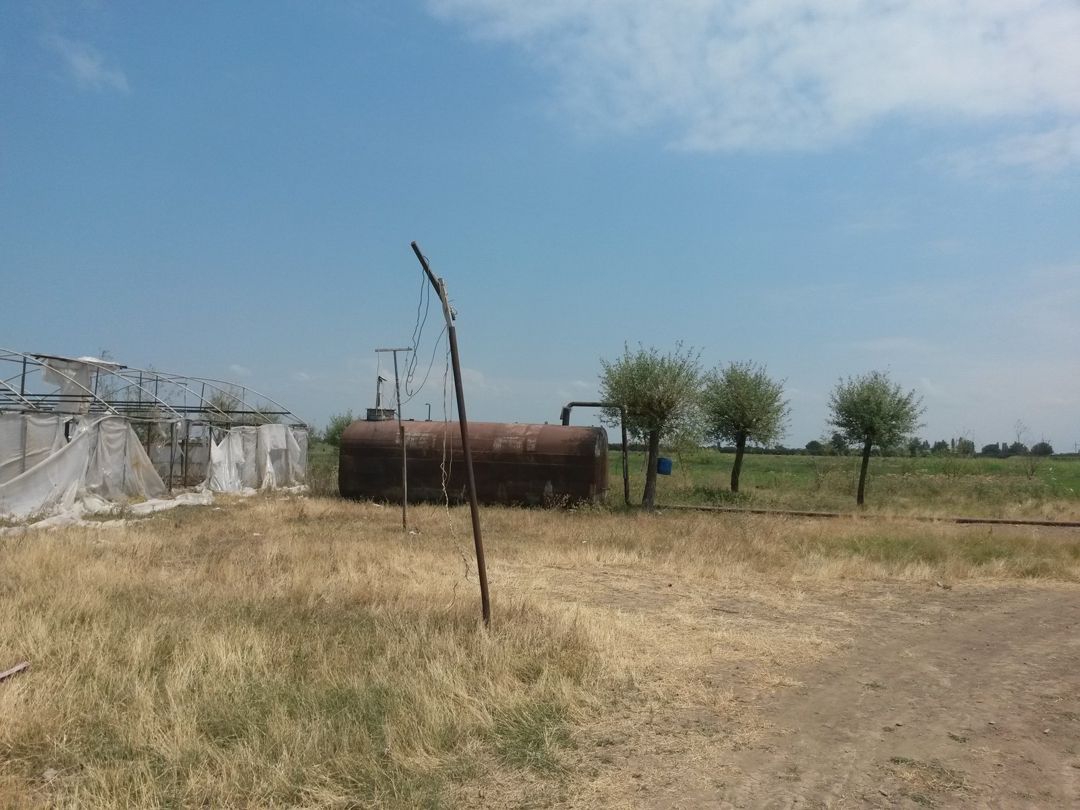 Satılır torpaq 646 sot — Torpaq, Şəmkir (8)