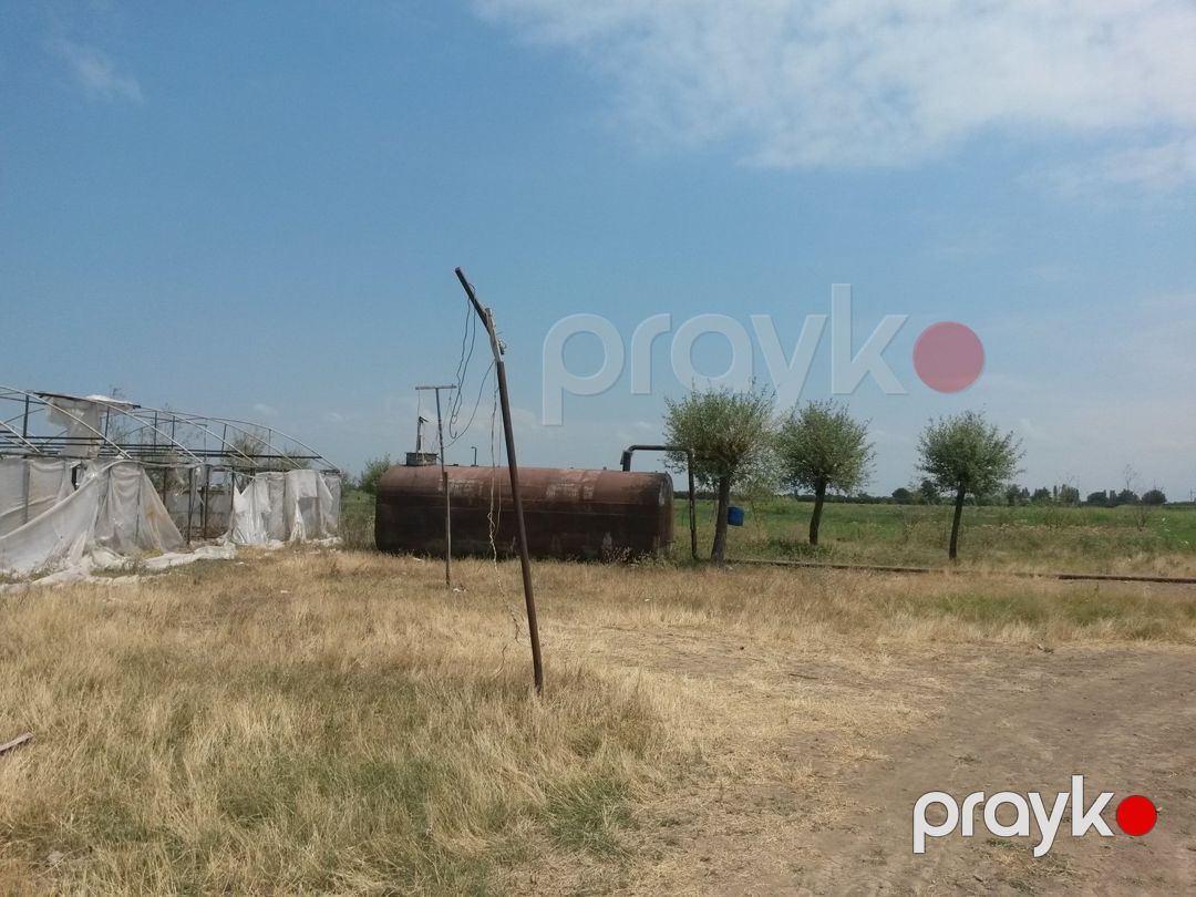 Satılır torpaq 646 sot — Torpaq, Şəmkir (8)