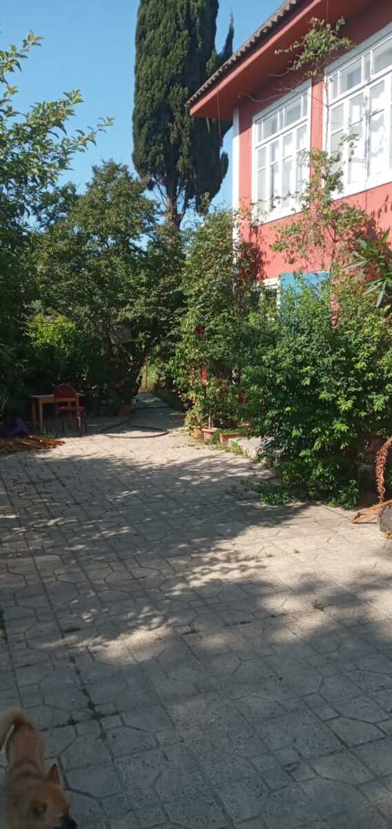 Satılır 4 otaqlı həyət evi/bağ evi 245 m² — Ev, villa, Masallı (3)