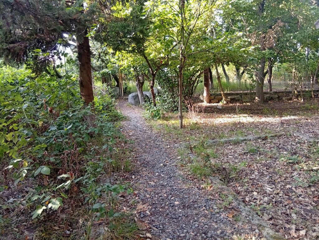 67 sot, Tikinti, Mülkiyyətçi, Kupça (Çıxarış) — Torpaq, Lənkəran (6)