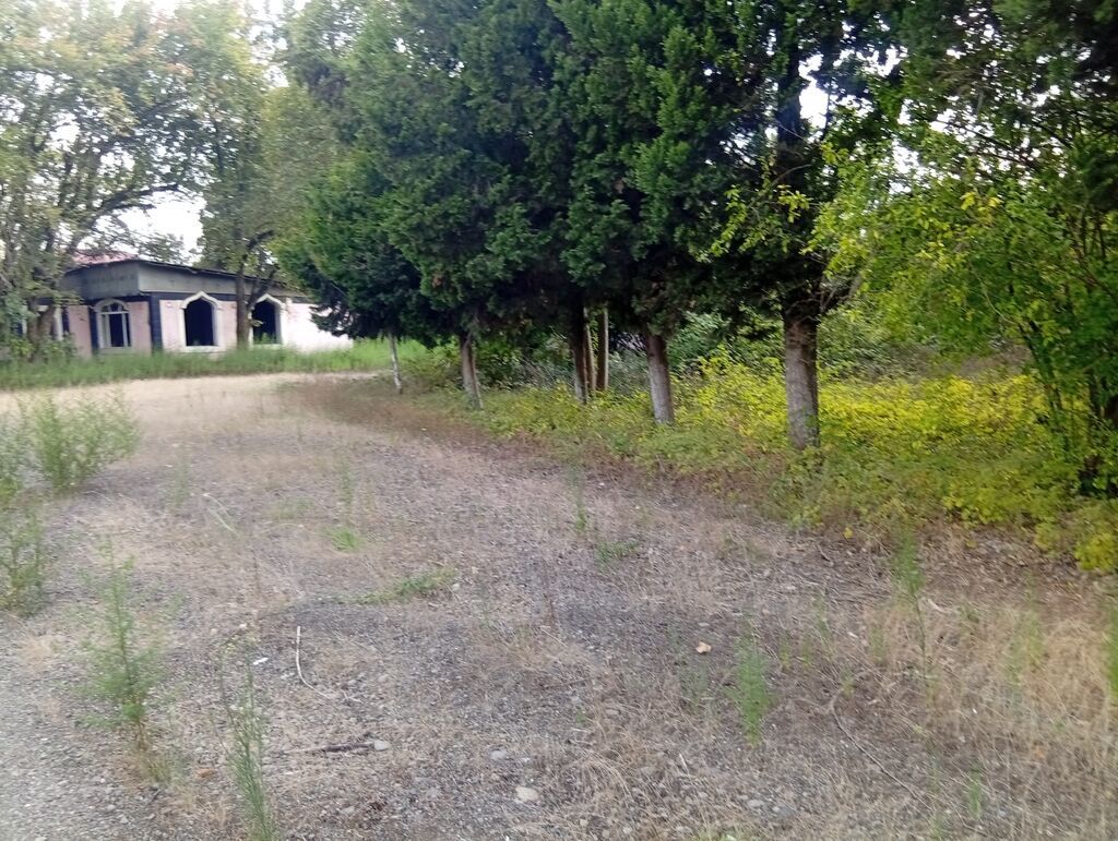 67 sot, Tikinti, Mülkiyyətçi, Kupça (Çıxarış) — Torpaq, Lənkəran