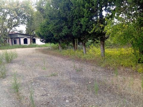 67 sot, Tikinti, Mülkiyyətçi, Kupça (Çıxarış) — Lənkəran