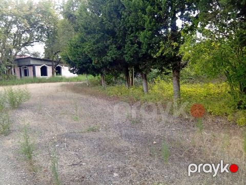 67 sot, Tikinti, Mülkiyyətçi, Kupça (Çıxarış)