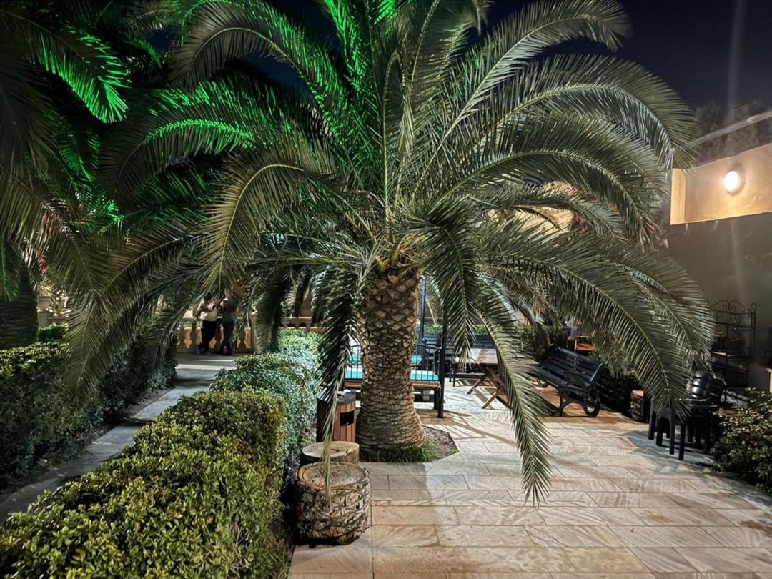 İcarəyə verilir 8 otaqlı həyət evi/bağ evi 600 m² — Ev, villa, Bakı (3)