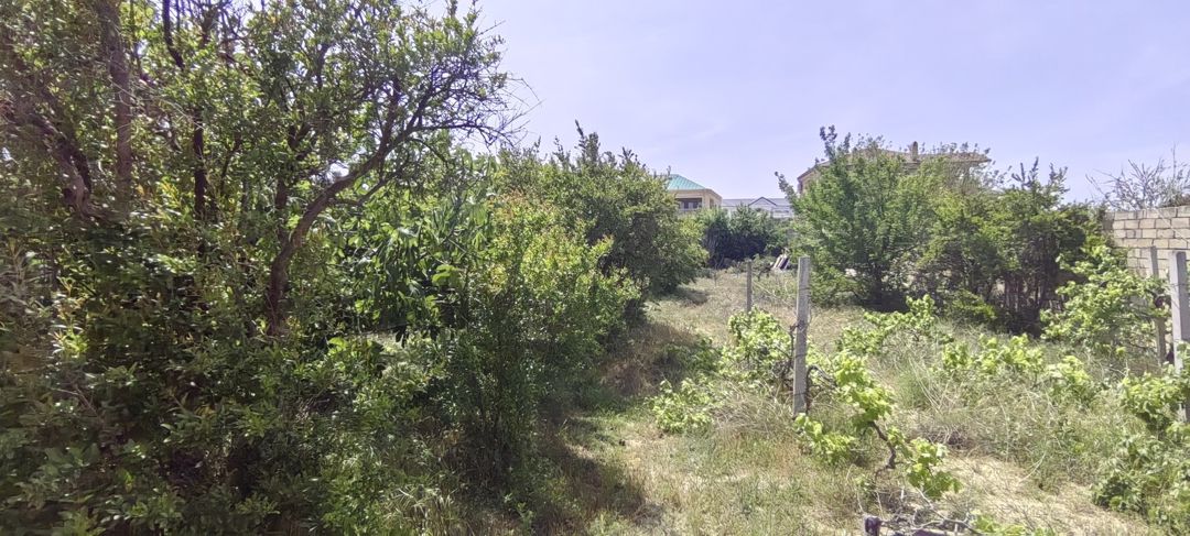 Satılır torpaq 24 sot — Torpaq, Bakı (4)