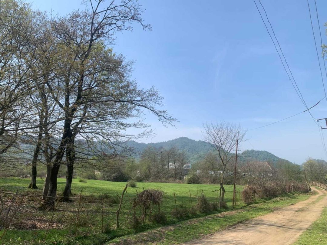 Satılır torpaq 45 sot — Torpaq, Lənkəran (5)