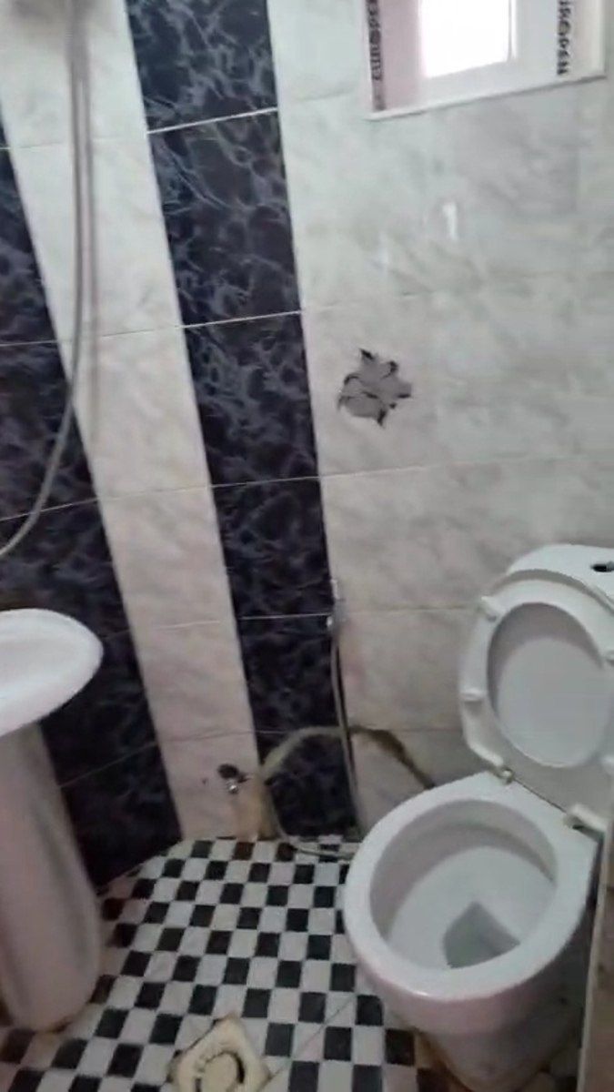Satılır 1 otaqlı həyət evi/bağ evi 42 m² — Ev, villa, Xırdalan (7)