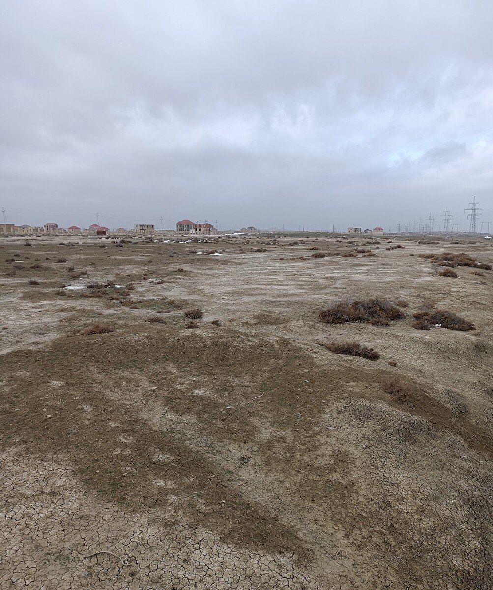 Satılır torpaq 1230 sot — Torpaq, Bakı (5)