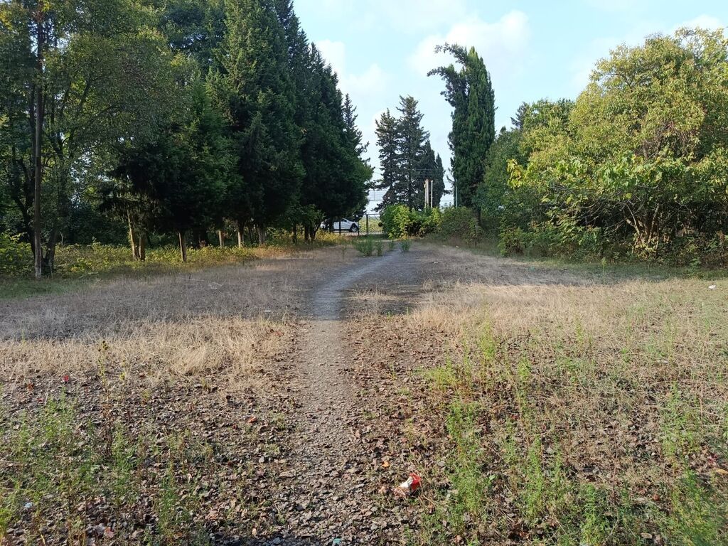 67 sot, Tikinti, Mülkiyyətçi, Kupça (Çıxarış) — Torpaq, Lənkəran (9)