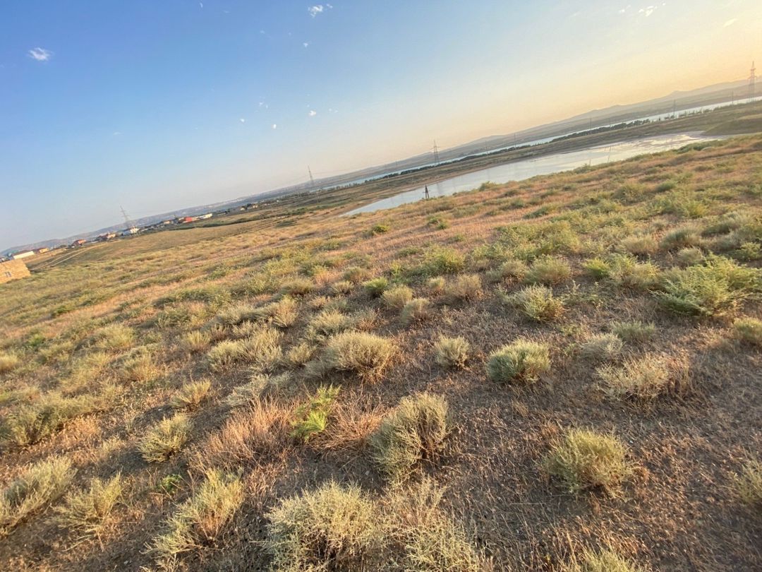 10 sot torpaq sahəsi, Saray qəs — Torpaq, Bakı (6)