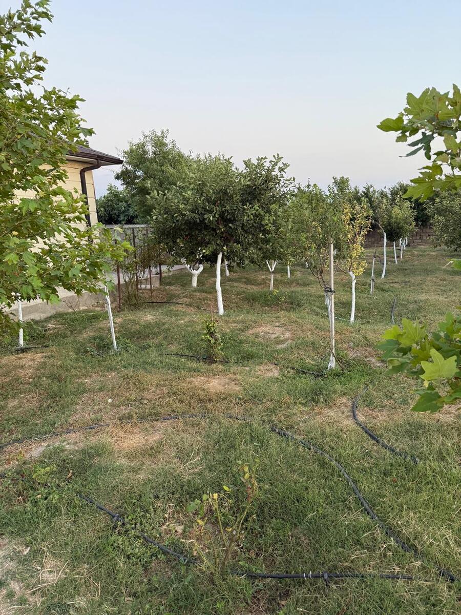 Satılır 1 otaqlı həyət evi/bağ evi 50 m² — Ev, villa, Bakı (5)