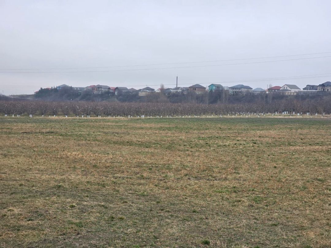 Satılır torpaq 1500 sot — Torpaq, Quba (10)