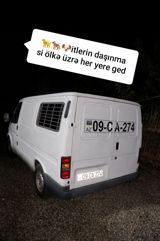 Heyvanların daşınması xidməti İtlərin və digər ev heyvanlarının — Freight Transport Services