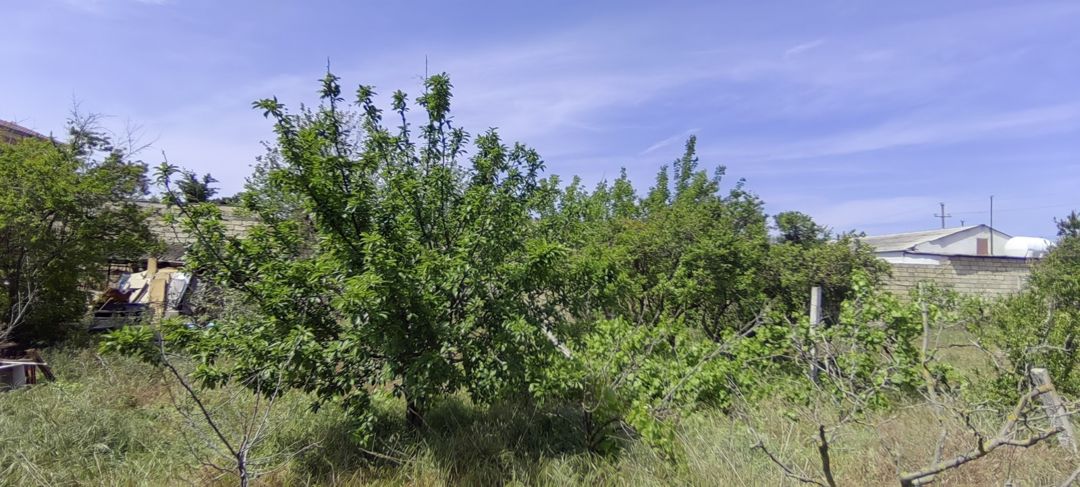 Satılır torpaq 24 sot — Torpaq, Bakı (10)