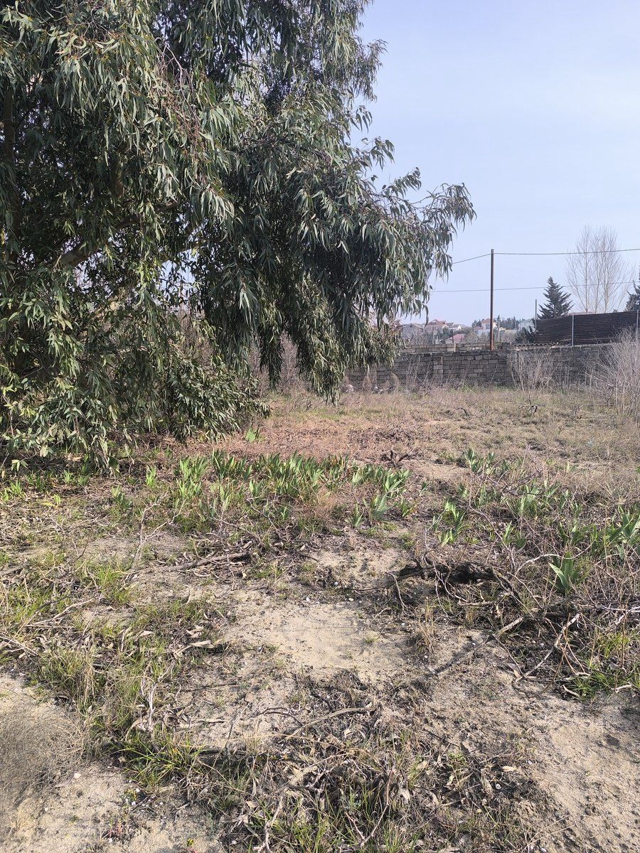 Satılır torpaq 41 sot — Torpaq, Bakı (12)