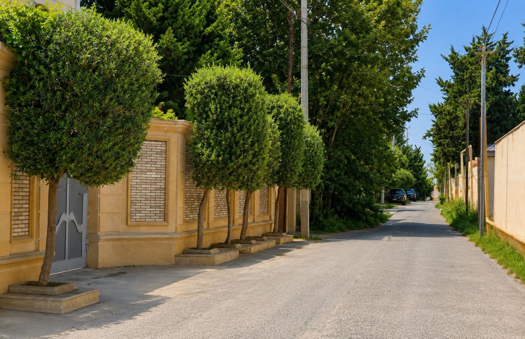 Satılır 6 otaqlı həyət evi/bağ evi 400 m² — Ev, villa, Bakı (5)