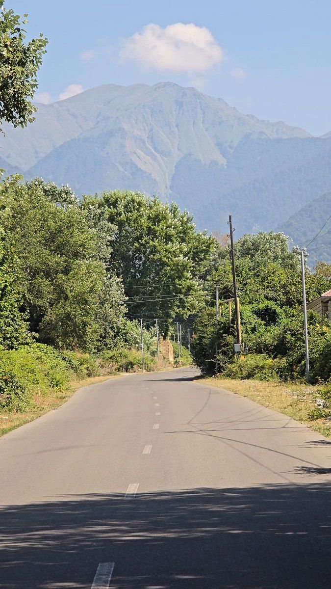Satılır torpaq 20 sot — Torpaq, Qəbələ (4)