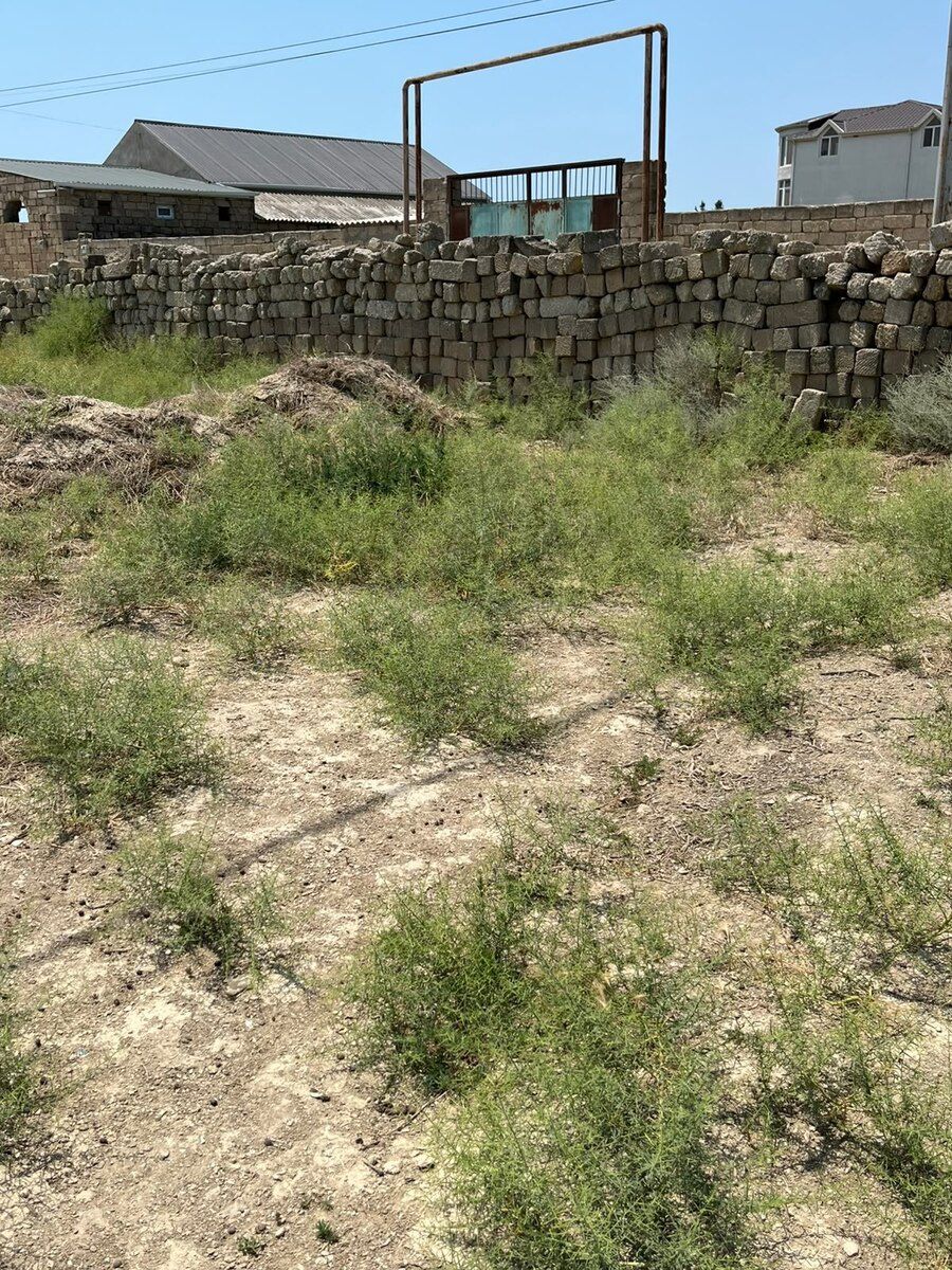 6 sot torpaq sahəsi, Türkan qəs — Torpaq, Bakı (7)