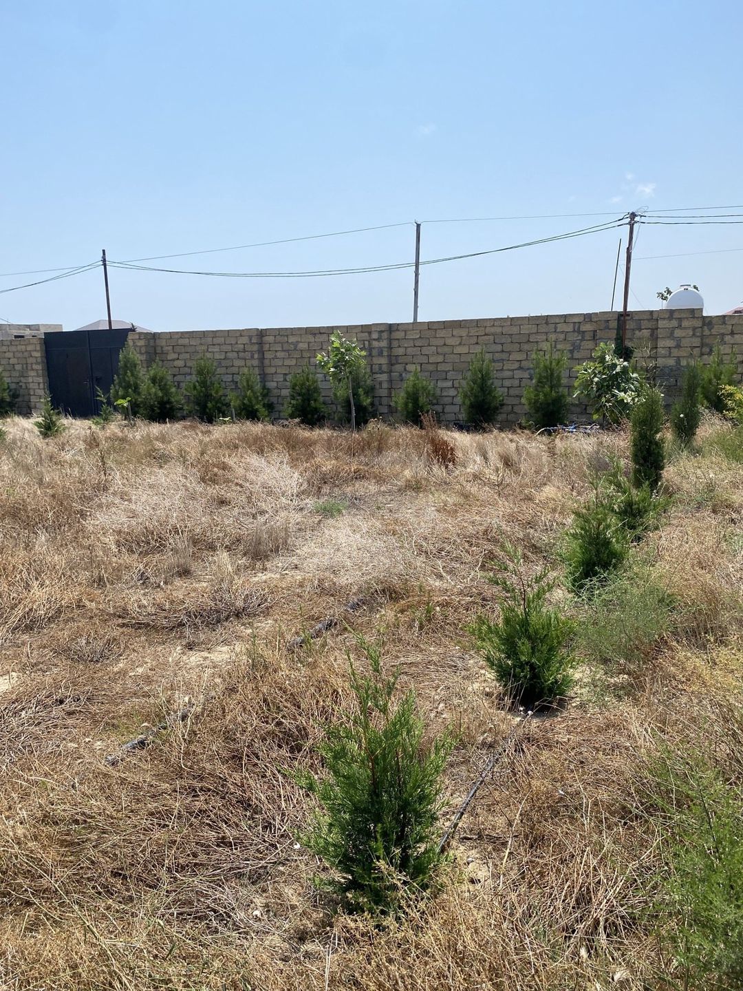 Satılır torpaq 12 sot — Torpaq, Bakı (9)