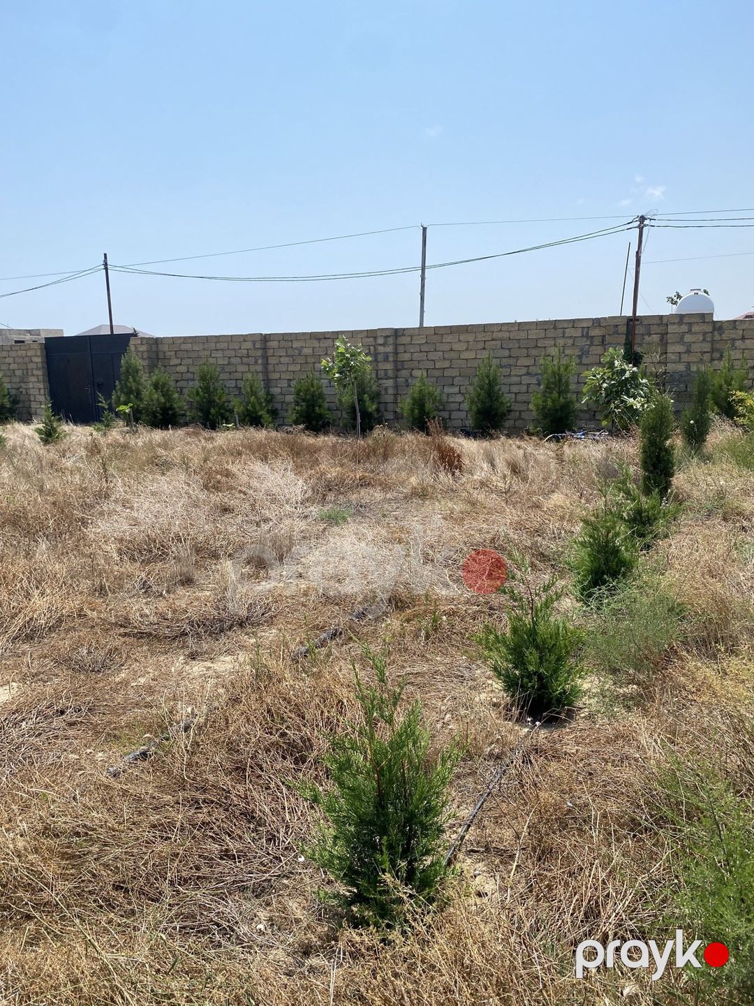 Satılır torpaq 12 sot — Torpaq, Bakı (11)