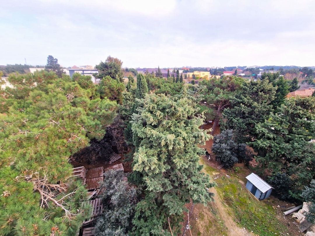 Satılır 9 otaqlı həyət evi/bağ evi 810 m² — Ev, villa, Bakı (3)