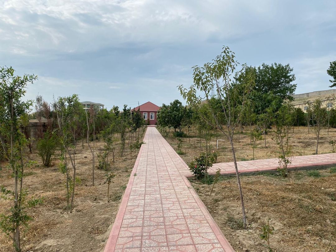 Satılır torpaq 57 sot — Torpaq, Bakı (8)
