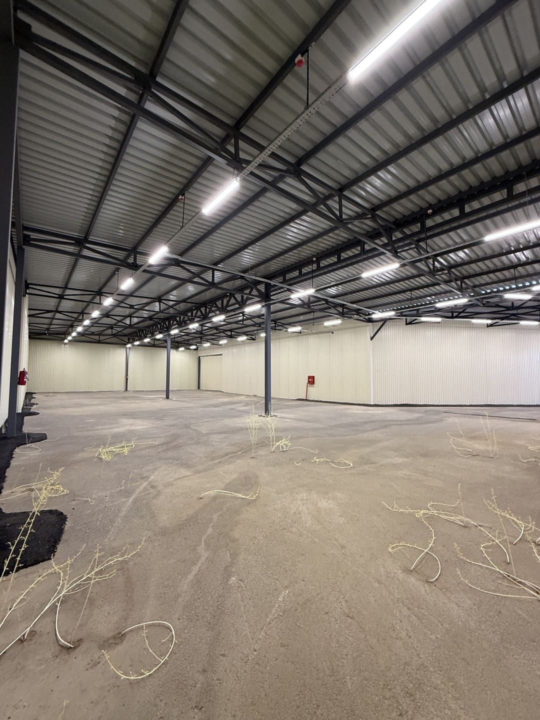 İcarəyə verilir obyekt 7401 m² — Əmlak, Bakı (12)