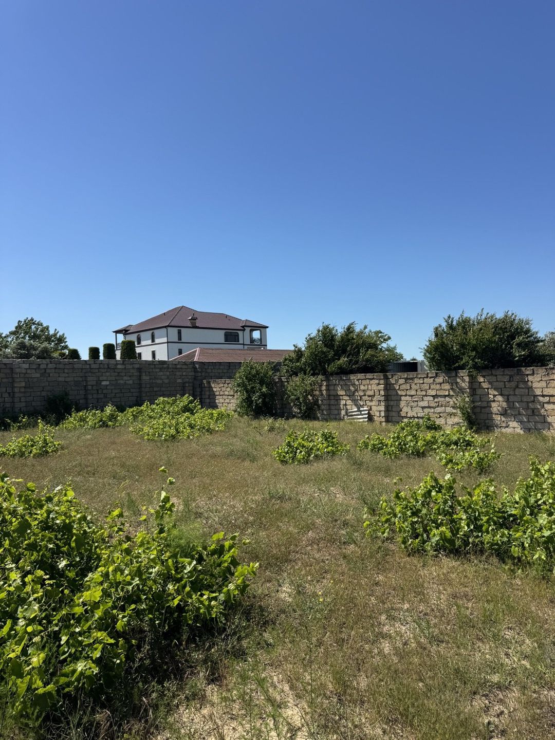 Satılır torpaq 4 sot — Torpaq, Bakı (5)