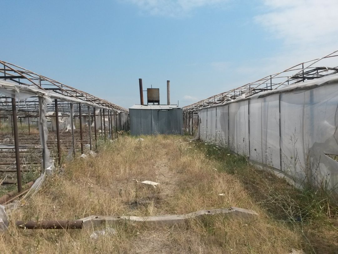 Satılır torpaq 646 sot — Torpaq, Şəmkir (6)