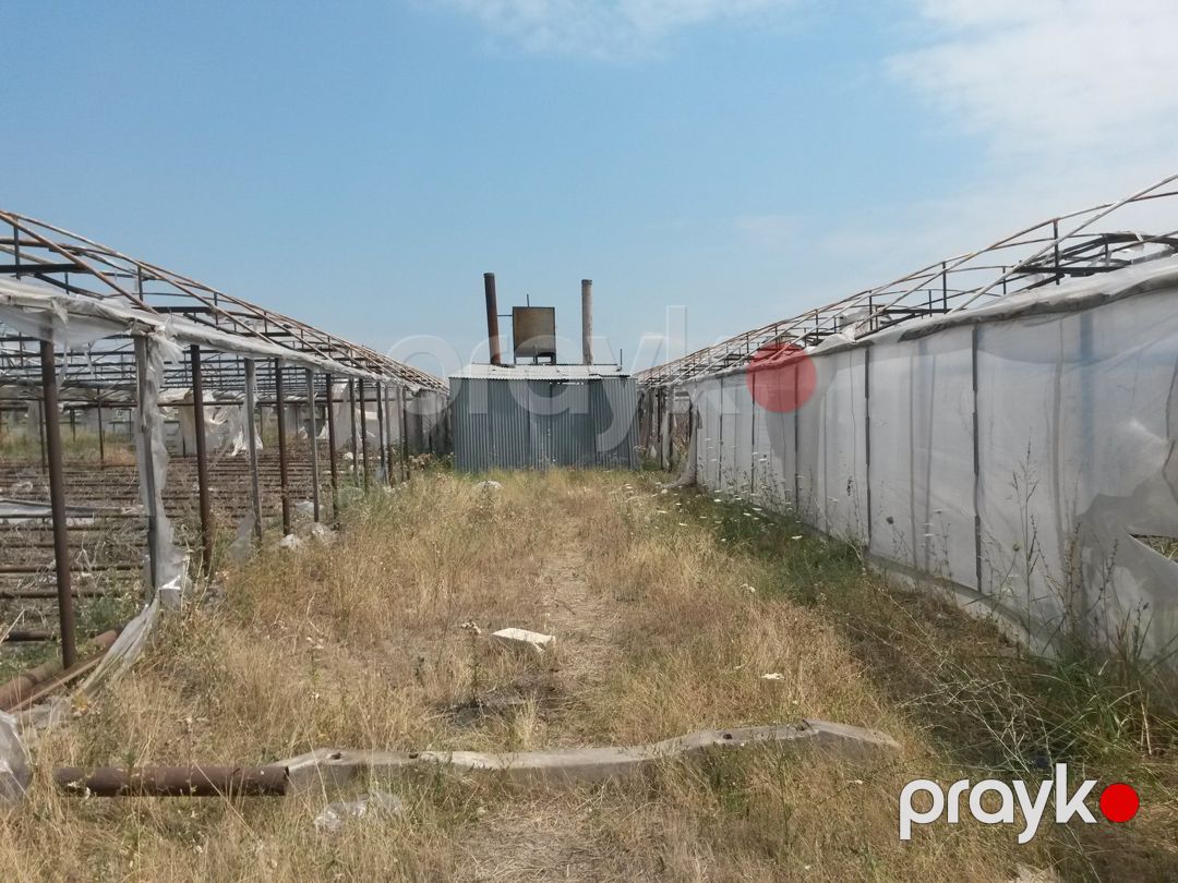 Satılır torpaq 646 sot — Torpaq, Şəmkir (6)