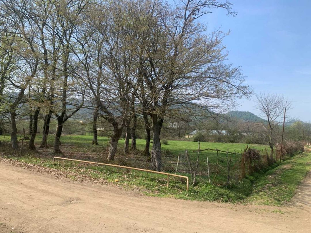 Satılır torpaq 45 sot — Torpaq, Lənkəran (2)