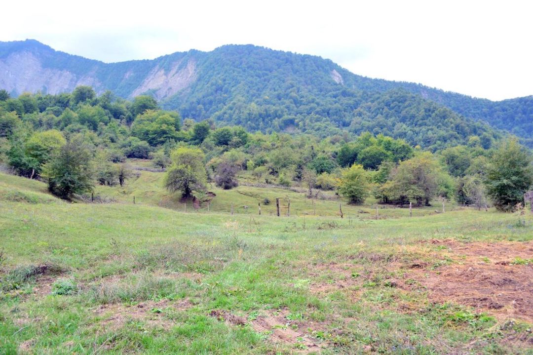 Satılır torpaq 80 sot — Torpaq, Quba (11)
