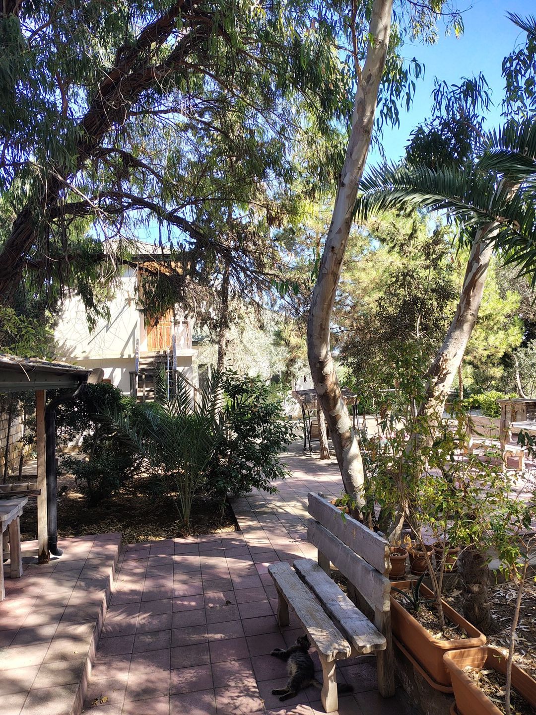 Satılır 7 otaqlı həyət evi/bağ evi 170 m² — Ev, villa, Bakı (3)