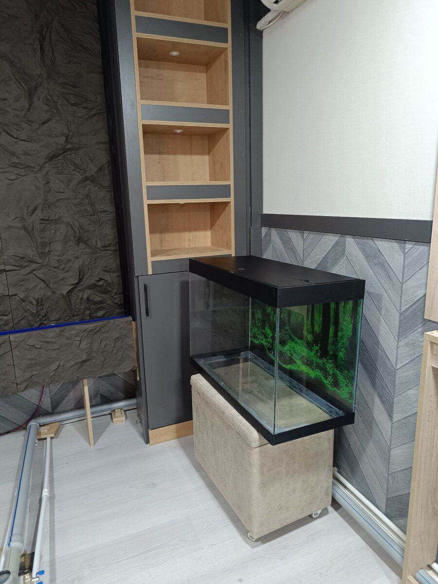 Akvarium — Akvariumlar və balıqlar, Bakı (9)