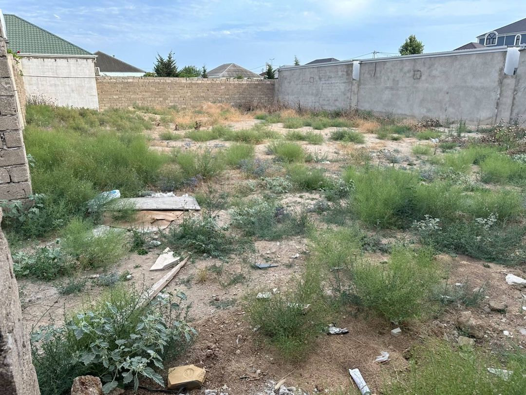 Satılır torpaq 6 sot — Torpaq, Bakı (2)
