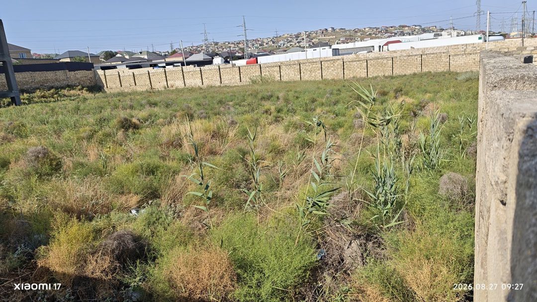 Satılır torpaq 32 sot — Torpaq, Bakı (4)