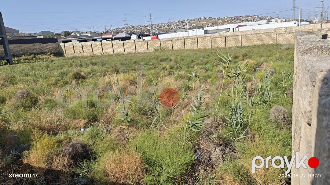 Satılır torpaq 32 sot — Torpaq, Bakı (4)