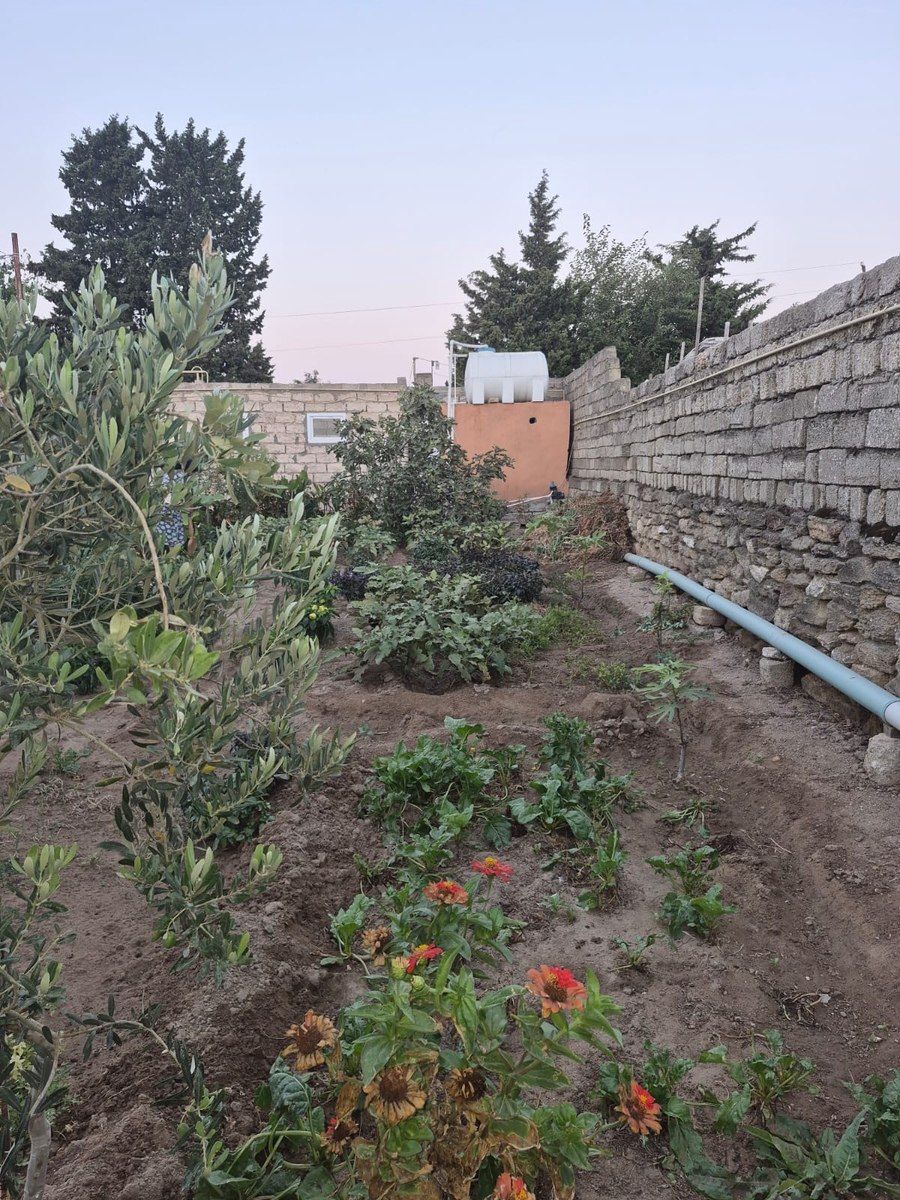 Həyət evi, Türkan qəs — Ev, villa, Bakı (11)