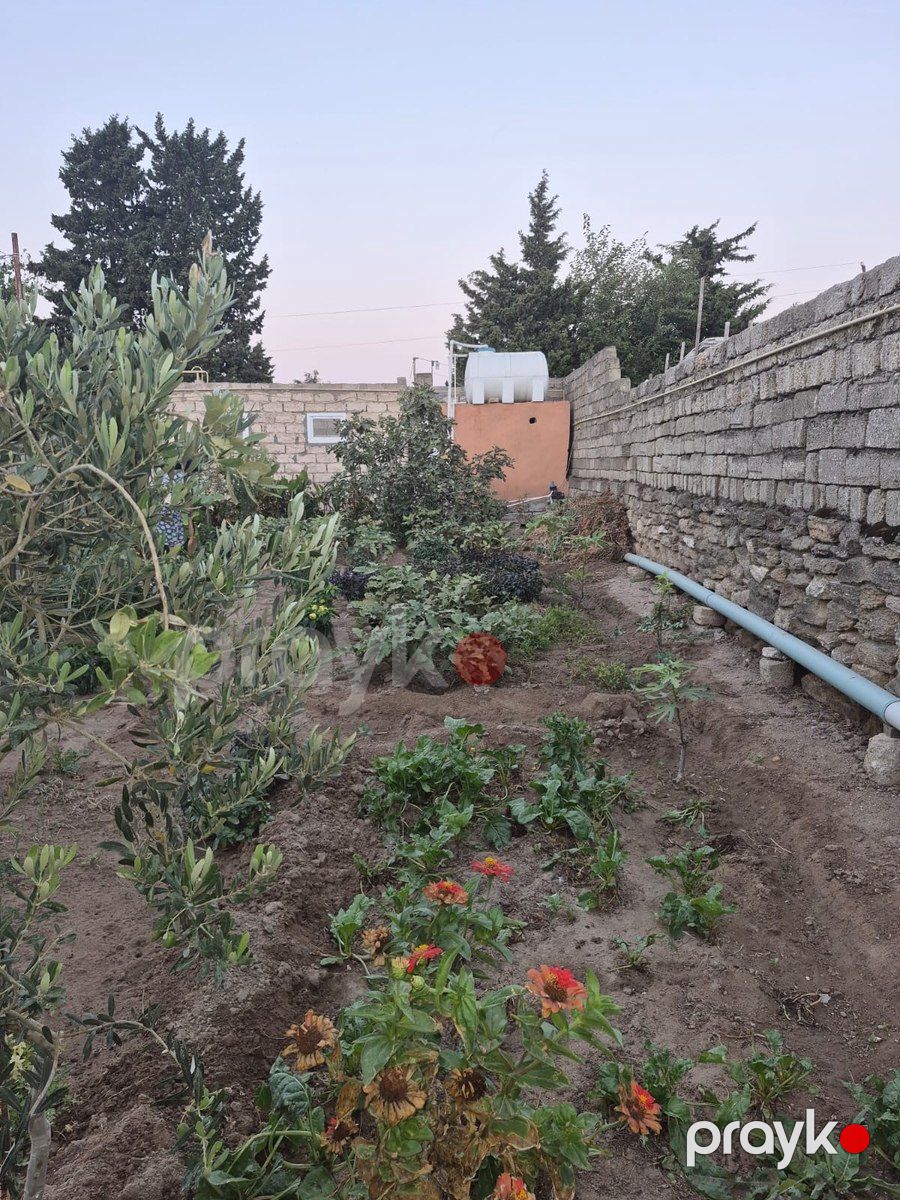 Həyət evi, Türkan qəs — Ev, villa, Bakı (11)